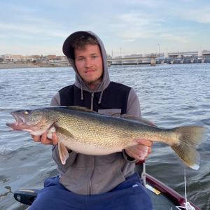 Meet your Posher, Shane